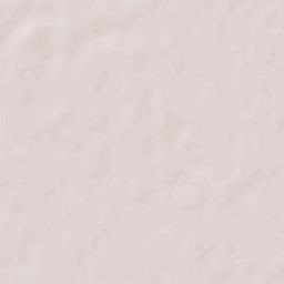 Scorţaru Nou Terrain Map