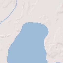 Forest Lake Terrain Map