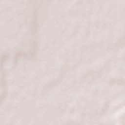 Racoviţa Terrain Map