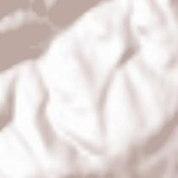 Saint-Sauveur-en-Rue Terrain Map