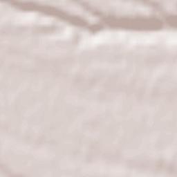 San Carlo Canavese Terrain Map