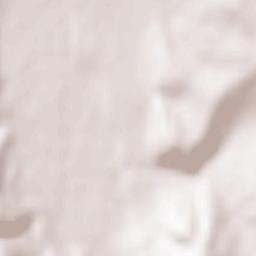 Comuna Slatina-Timiş Terrain Map