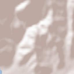 Sălătrucel Terrain Map