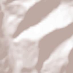 Comarnic Terrain Map