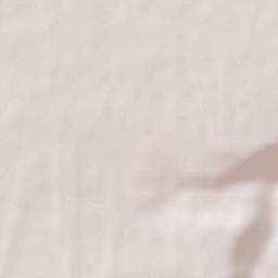 Ryzdvyanyy Terrain Map