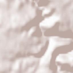 Saint-Maurice-de-Lignon Terrain Map