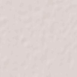 Salizzole Terrain Map