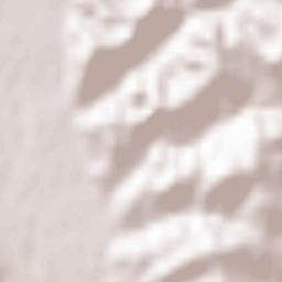 Albeştii Pământeni Terrain Map