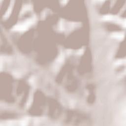 Mușătești Terrain Map