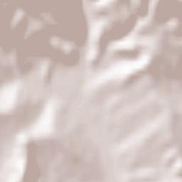 Berevoeşti Terrain Map