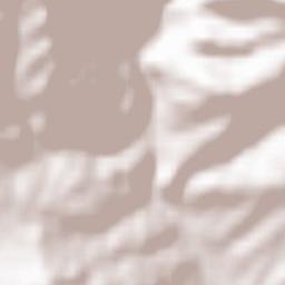 Şotrile Terrain Map