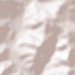 Oraş Slãnic Terrain Map