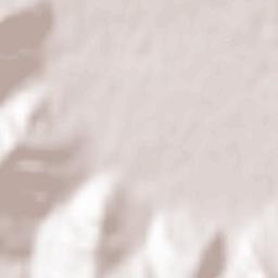 Comuna Cislău Terrain Map