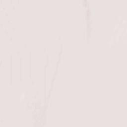 Napierville Terrain Map