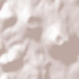 Allègre Terrain Map