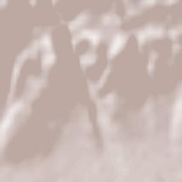 Cărpiniș Terrain Map