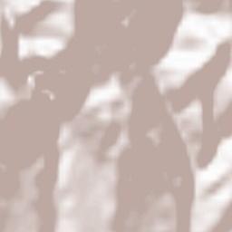 Polovragi Terrain Map