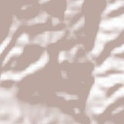 Bărbăteşti Terrain Map