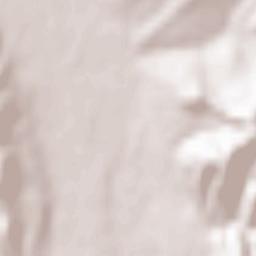 Pietroşani Terrain Map