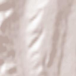 Schitu-Goleşti Terrain Map