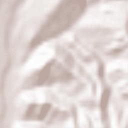 Comuna Schitu-Goleşti Terrain Map