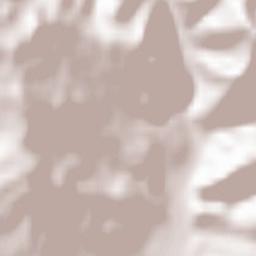 Comuna Cetăţeni Terrain Map