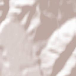 Comuna Brebu Terrain Map