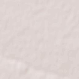 Shelkovichnoye Terrain Map