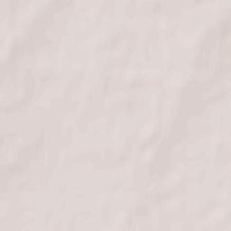 Shirokoye Terrain Map