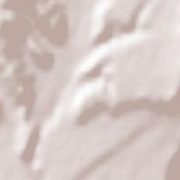 Saint-Vérand Terrain Map