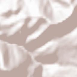 Département de l'Isère Terrain Map