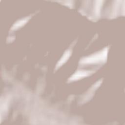 Val della Torre Terrain Map