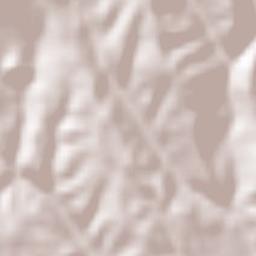 Comuna Schela Terrain Map