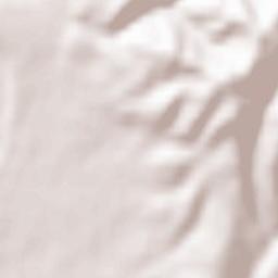 Bumbeşti-Jiu Terrain Map