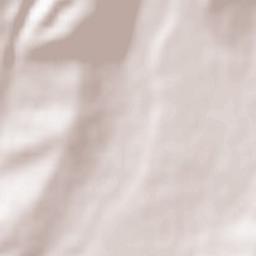 Comuna Baia de Fier Terrain Map