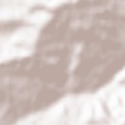 Comuna Malu cu Flori Terrain Map