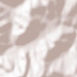 Poiana Copăceni Terrain Map