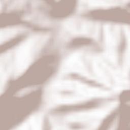 Comuna Şoimari Terrain Map