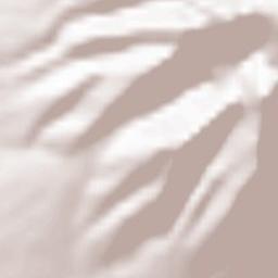 Rishiri Town Terrain Map