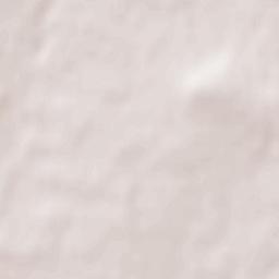 Saint-Savin Terrain Map