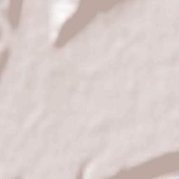 Saint-Marcellin Terrain Map