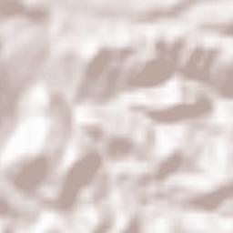 Zborište Terrain Map