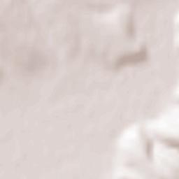 Ticvaniu Mare Terrain Map