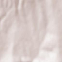 Muşeteşti Terrain Map