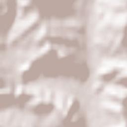 Bodești Terrain Map