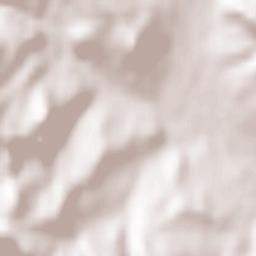 Păuşeşti-Măglaşi Terrain Map