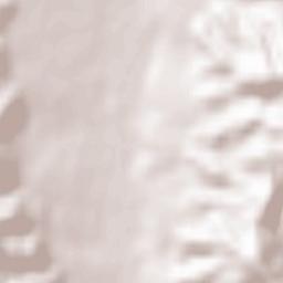 Retevoiești Terrain Map