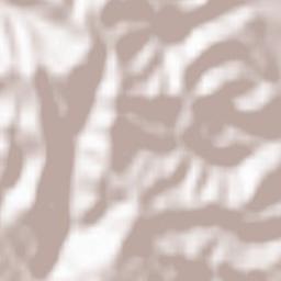 Vlădești Terrain Map