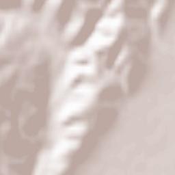 Comuna Merei Terrain Map