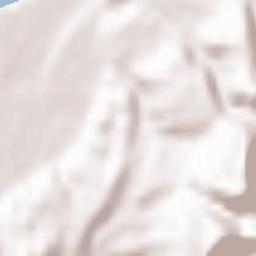 Saint-Romans Terrain Map